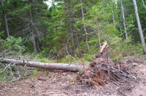 hurricane arthur 002