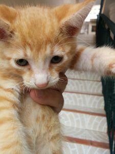 life gets in the way three